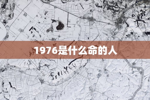 1976是什么命的人