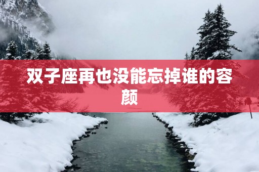 双子座再也没能忘掉谁的容颜
