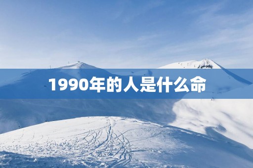 1990年的人是什么命