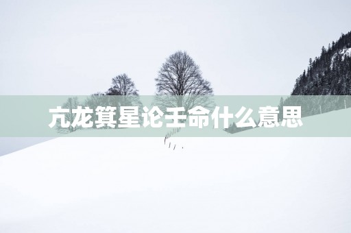 亢龙箕星论壬命什么意思