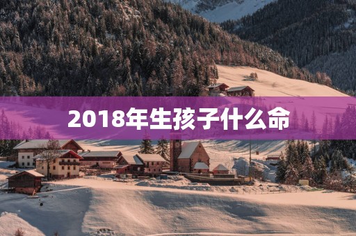 2018年生孩子什么命