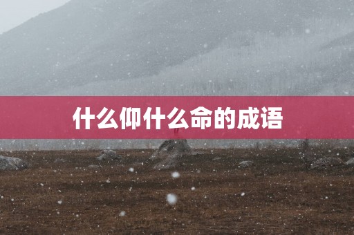 什么仰什么命的成语