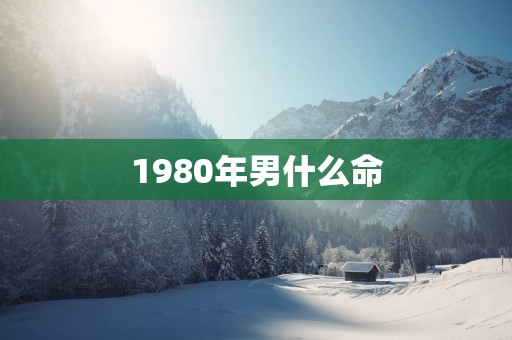1980年男什么命