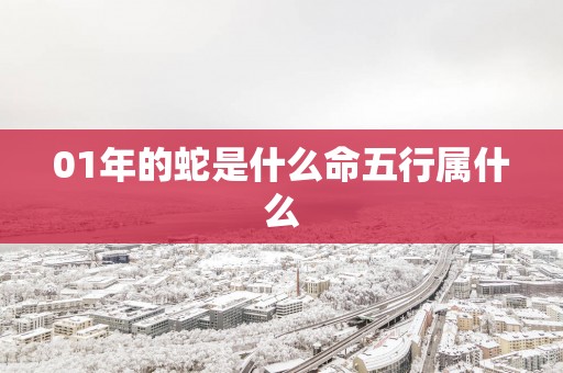 01年的蛇是什么命五行属什么