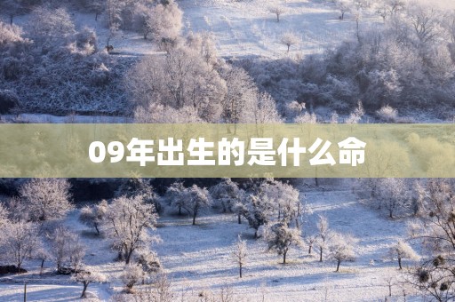 09年出生的是什么命