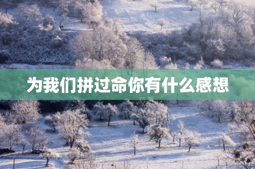为我们拼过命你有什么感想