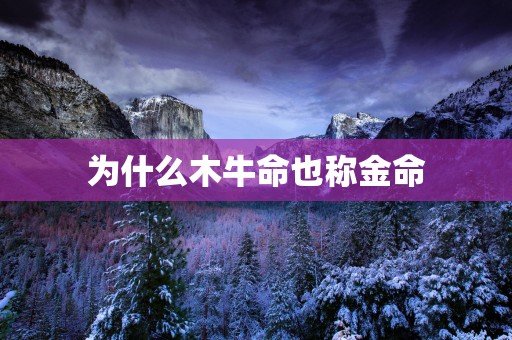 为什么木牛命也称金命