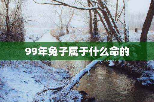 99年兔子属于什么命的
