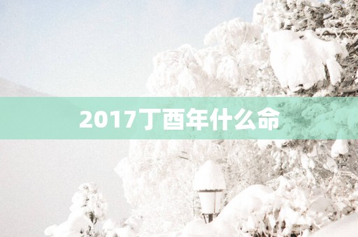 2017丁酉年什么命