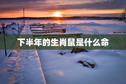 下半年的生肖鼠是什么命