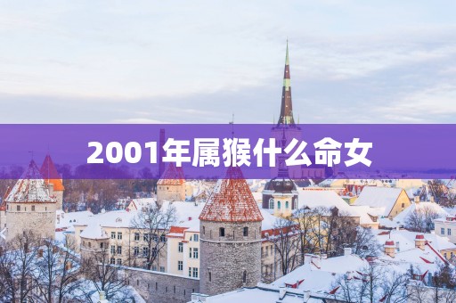 2001年属猴什么命女