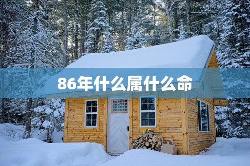 86年什么属什么命