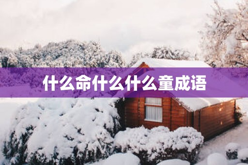 什么命什么什么童成语