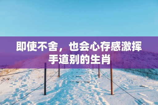 即使不舍，也会心存感激挥手道别的生肖