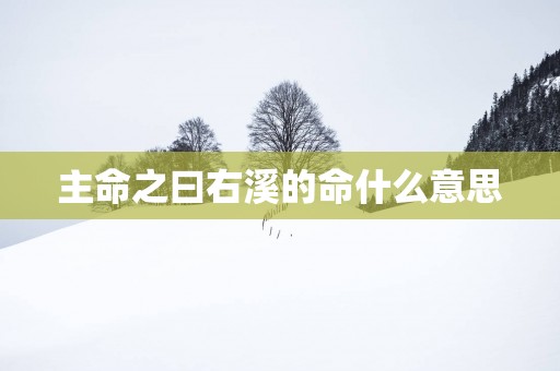 主命之曰右溪的命什么意思