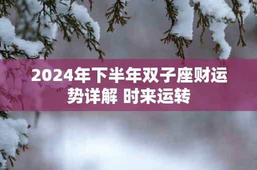 2025年下半年双子座财运势详解 时来运转