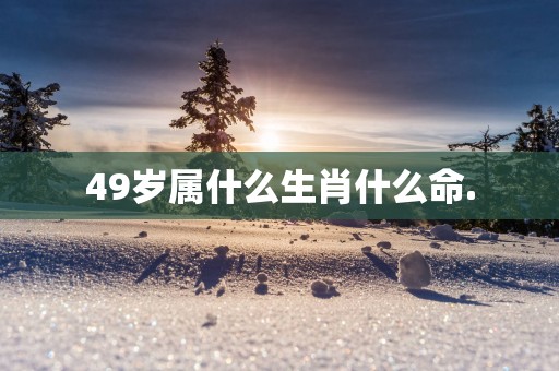 49岁属什么生肖什么命.