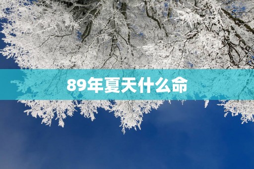 89年夏天什么命