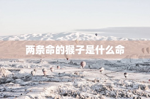 两条命的猴子是什么命