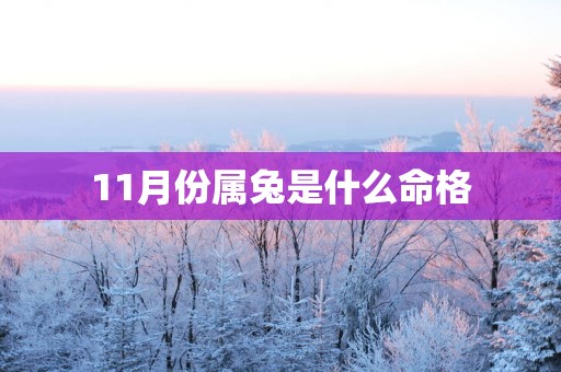 11月份属兔是什么命格