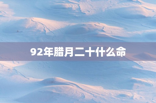 92年腊月二十什么命