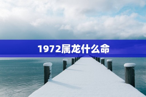 1972属龙什么命