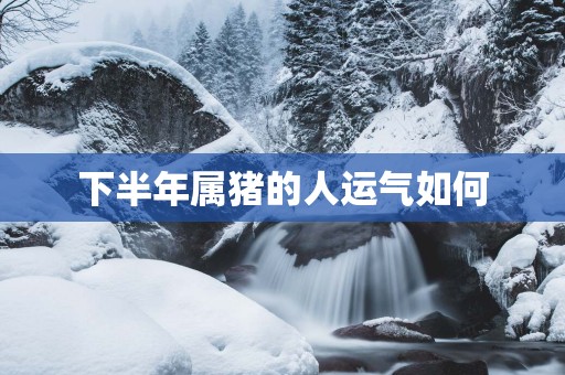 下半年属猪的人运气如何