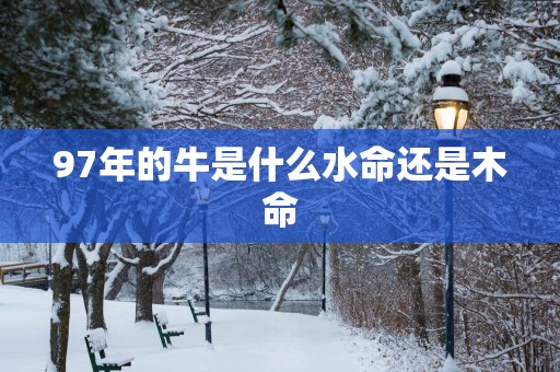 97年的牛是什么水命还是木命
