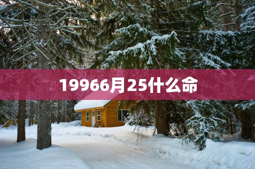 19966月25什么命