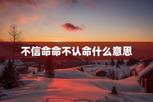 不信命命不认命什么意思