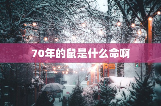 70年的鼠是什么命啊