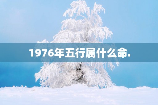 1976年五行属什么命.