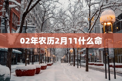 02年农历2月11什么命
