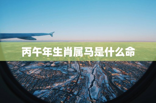 丙午年生肖属马是什么命