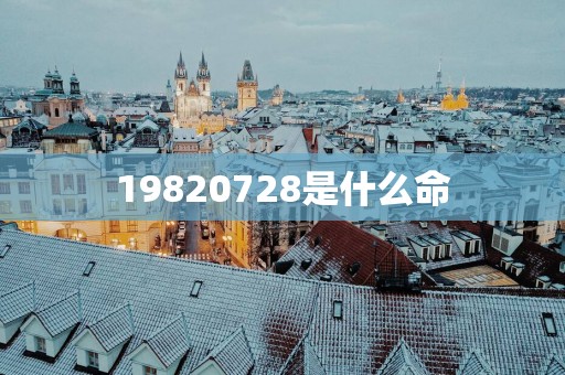 19820728是什么命