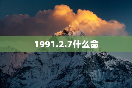 1991.2.7什么命