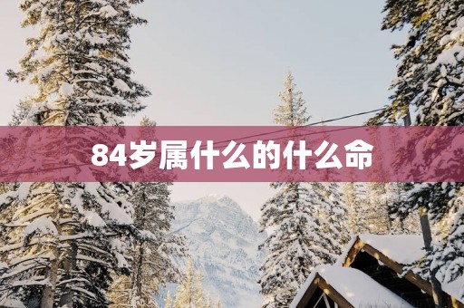 84岁属什么的什么命