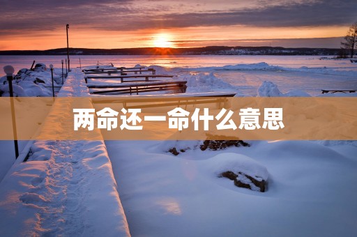 两命还一命什么意思