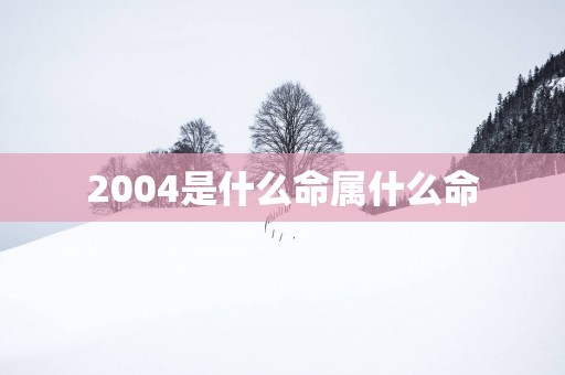 2004是什么命属什么命