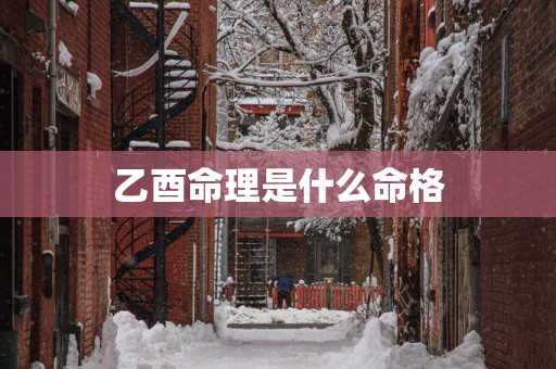 乙酉命理是什么命格