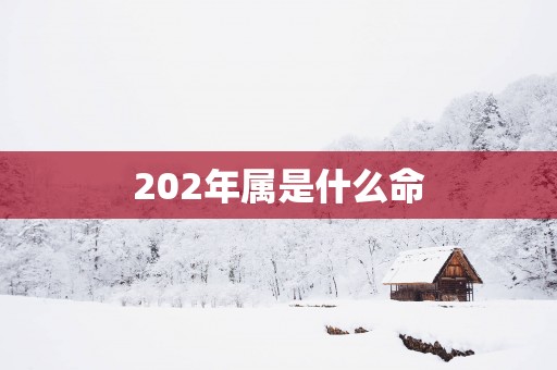 202年属是什么命