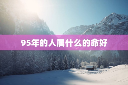 95年的人属什么的命好