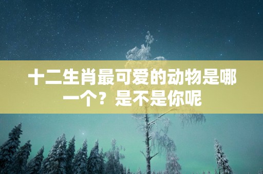 十二生肖最可爱的动物是哪一个？是不是你呢