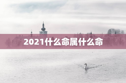 2025什么命属什么命
