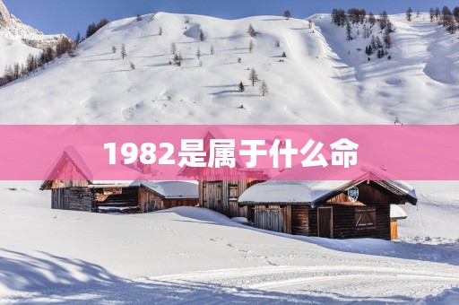 1982是属于什么命