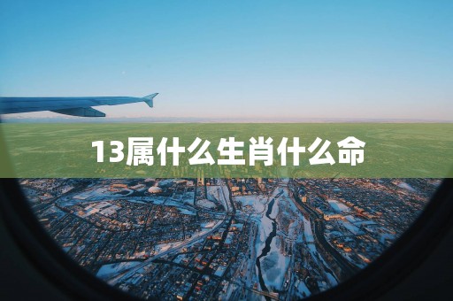 13属什么生肖什么命