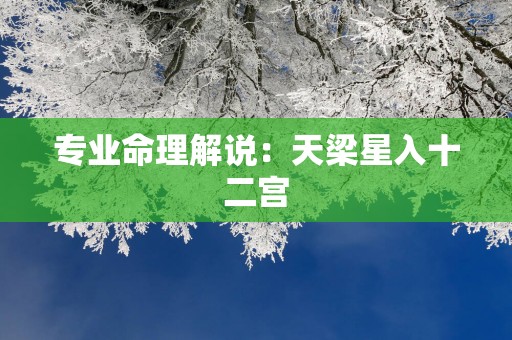 专业命理解说：天梁星入十二宫