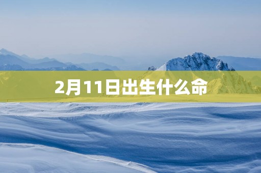 2月11日出生什么命
