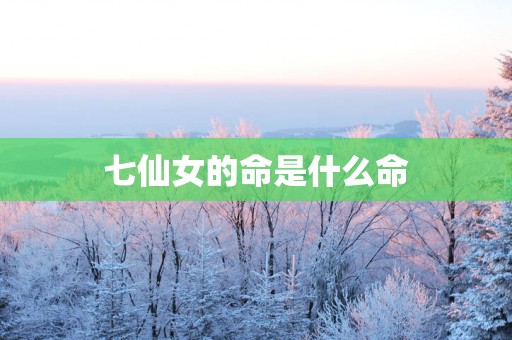 七仙女的命是什么命