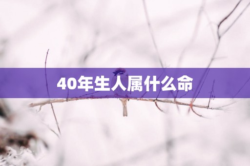 40年生人属什么命